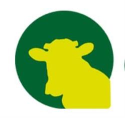 Cooperativa O Rodo, Rodeiro