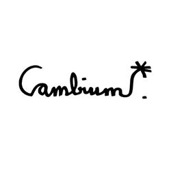 Cambium by Estefi Climent, Lleida