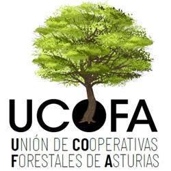 Ucofa, Oviedo