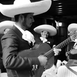 Mariachi Alma del Son, Madrid