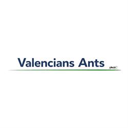 VANTS COORP SL (Valencians Ants Corporation)