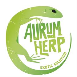 Aurum Herp, Loja