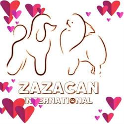 Zazacan Centro De Cría, Culleredo