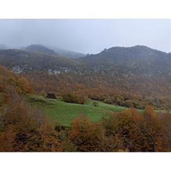 Restauraurante Valle de Lago