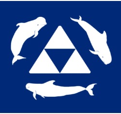 PilotWhales, Adeje