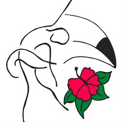 Aloha Dance Company, Valencia