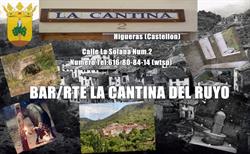 Bar/rte La Cantina Del Ruyo Higueras