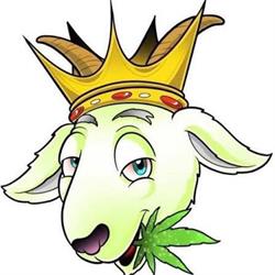 Thegreengoat, Barcelona