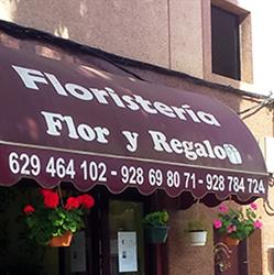 Floristería Flor y Regalo, Carrizal