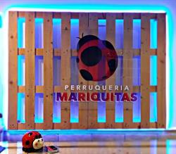 Perruqueria Mariquitas, Ríudoms