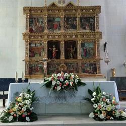 Flores conchy, Mayorga