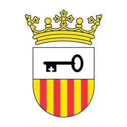 Conselh Generau d'Aran, Viella