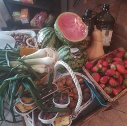 La Huerta de Maruja, Almería