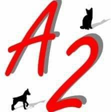 A2 Distribuciones, Alcantarilla