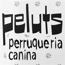 Peluts Perruqueria Canina, Mora d'Ebre