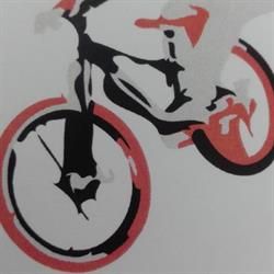Dani Bikes, Ribadesella