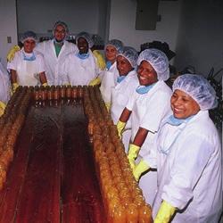 EquiMercado - Alimentación ecológica y de Comercio Justo y Cosmética Natural Certificada, Esquíroz
