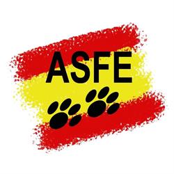 Asociación Felina Española, Moraleja de Enmedio