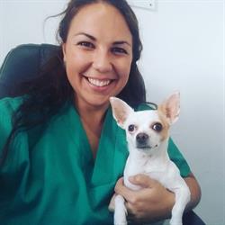 Servicios Veterinarios Laura Ciudad García, Madrigalejo