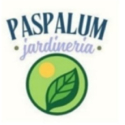PASPALUM JARDINERIA, Canyelles