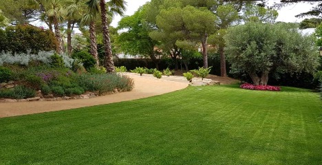 Jardinero Pamplona