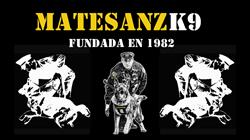 MatesanzK9 Servicios Cinologicos, Moraleja de Enmedio
