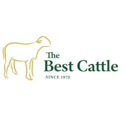 The best cattle, Barqueros