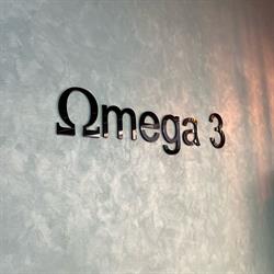 Restaurant Omega 3, Girona