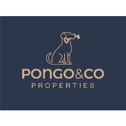 Pongo&Co, Palma de Mallorca