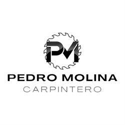 Pedro Molina Carpintero, Dénia