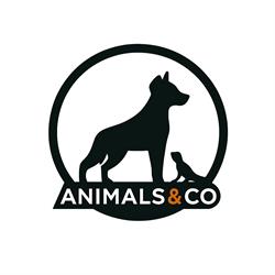 Peluquería Canina Animals&co, Alicante
