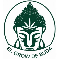 El Grow de Buda, Arganda del Rey
