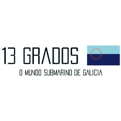 13 Grados, Vigo