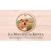 La Manada de Kenya, Gijón