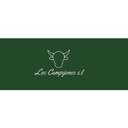 LOS CAMPIJONES GANADERÍA, Villarino de los Aires