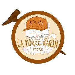 La Torre Karin Store, Zaragoza