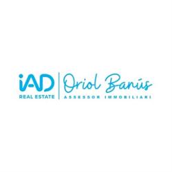 Oriol Banús agent immobiliari IAD, Vallmoll