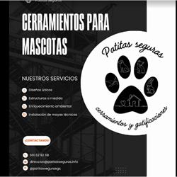 Patitas Seguras, Vecindario