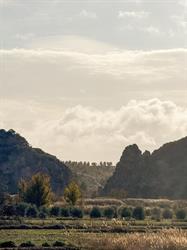 FINCA EL MOLAR, Fuentealbilla
