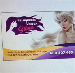 Peluquería Unisex Silvia, Torre del Campo