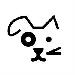 Rintintin Autolavado de Mascotas, Barcelona