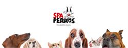 SPA Perros, Olmedo