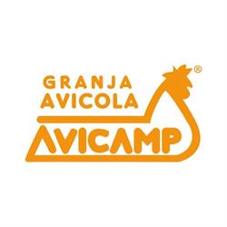 Huevos Avicamp, Guardamar del Segura