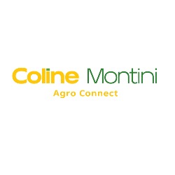 Csagroconnect, Valencia