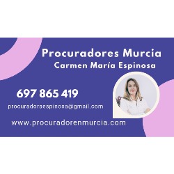 PROCURADORES MURCIA Carmen Espinosa, Murcia