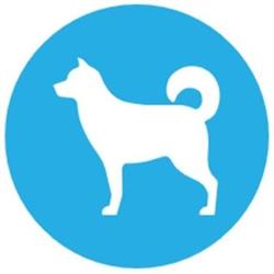 mascotaregalos.com, Oropesa del Mar