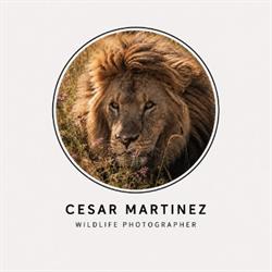 Cesar Wildlife Photography, Tudela