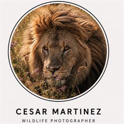 César Wildlife Photography, Tudela