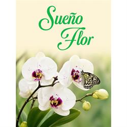 Sueño Flor, Santa Úrsula