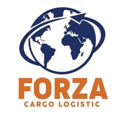 Forza Cargo Logistic, S L, Cornellà de Llobregat